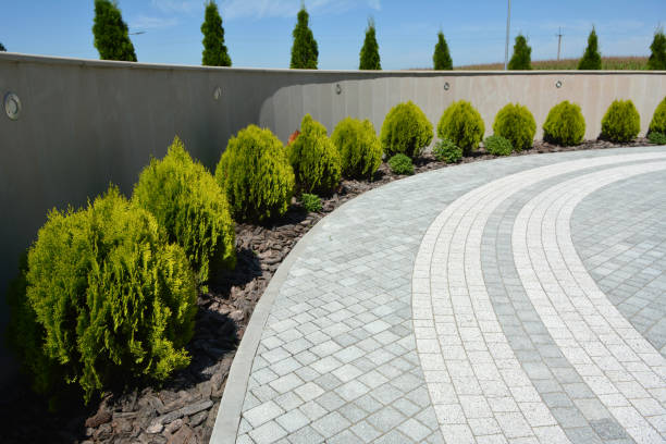 Driveway Repair Near Me in Paonia, CO